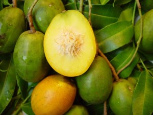 Golden Apple | Caribbean Fruits - Grenada Bluewater Sailing